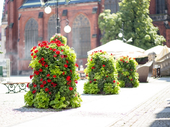 Torri di fiori nello spazio urbano: verde stagionale di forte impatto visivo