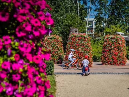 Torri di fiori nello spazio urbano: verde stagionale di forte impatto visivo