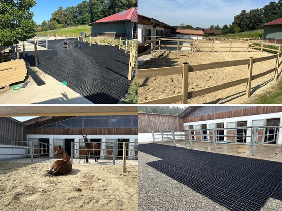 BERA Stable Fix Eco