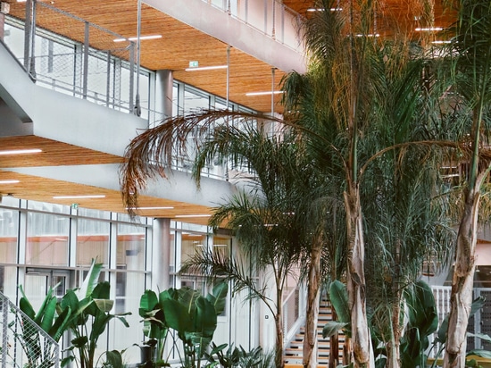 L'illuminazione nelle scuole