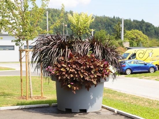 Grandi fioriere urbane: l’esempio di Köflach