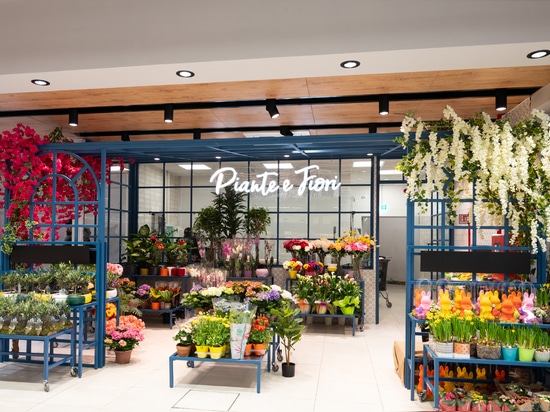 Supermarket - Provincia di Caserta