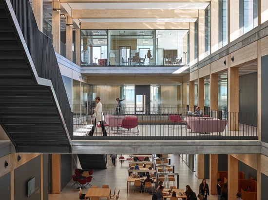 Roberto Rocca Innovation Building: un esempio di architettura sostenibile al servizio del benessere