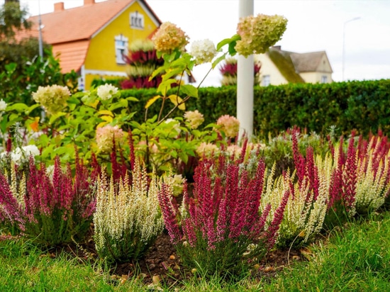 Le “torri di fiori” in autunno: l’esempio di Barwice