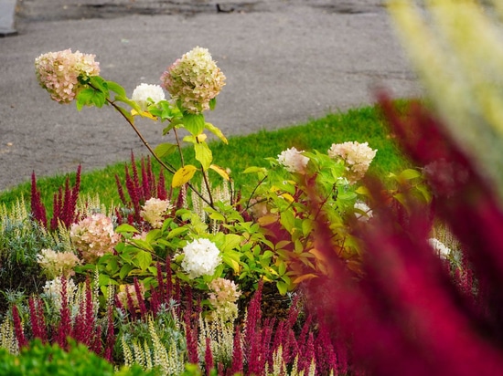 Le “torri di fiori” in autunno: l’esempio di Barwice