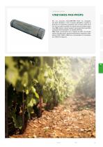 VINEYARDS PAN-PROPS - 1