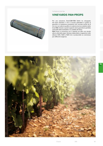VINEYARDS PAN-PROPS