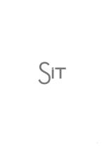SIT_2024