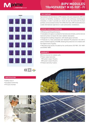 BIPV MODULES TRANSPARENT M 85-90P - FI