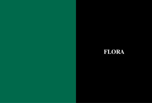 2018 Flora