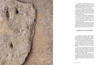 CATALOGO GRACE FOSSIL-4