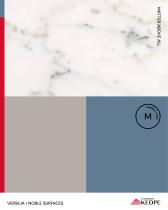 CATALOGO VERSILIA - 1