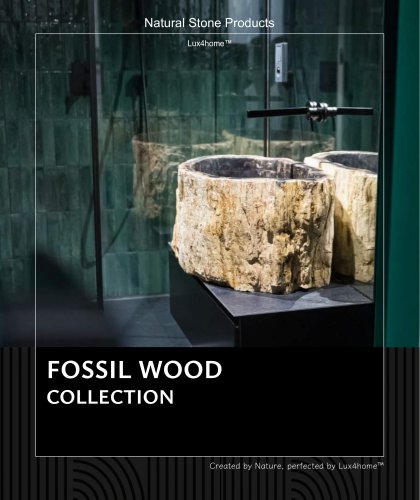 FOSSIL WOOD COLLECTION