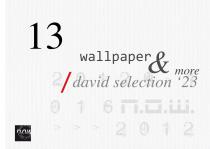 David Selection vol.13