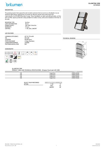 Ellington Flood Light LED 120W