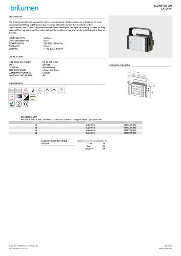 Ellington Flood Light LED 40W