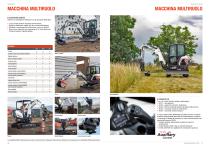 BOBCAT 4-10