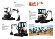 BOBCAT 4-8
