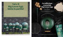 Big Green Egg - 5