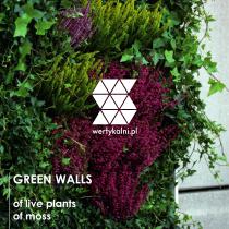 green walls