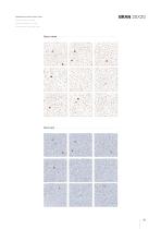 CERAGNI | Catalogo - 27