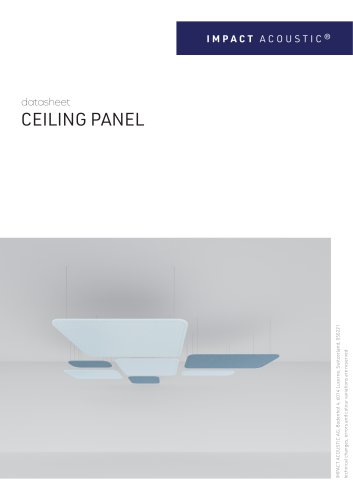 CEILING PANEL