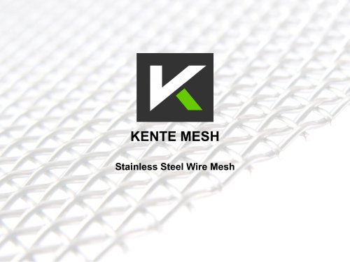 STAINLESS STEEL WIRE MESH