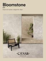 Catalog-Bloomstone