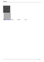 METALLICO - 2