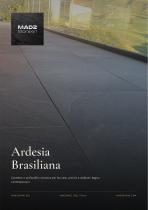 Ardesia brasiliana
