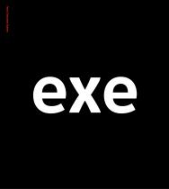 exe