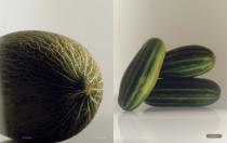 Catalogo RODA | MISSONI 2025-22