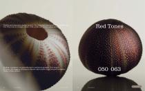 Catalogo RODA | MISSONI 2025-27