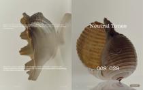 Catalogo RODA | MISSONI 2025-6