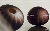 Catalogo RODA | MISSONI 2026-24