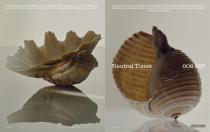 Catalogo RODA | MISSONI 2026-6