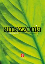 Pietre Native - Amazzonia - 1