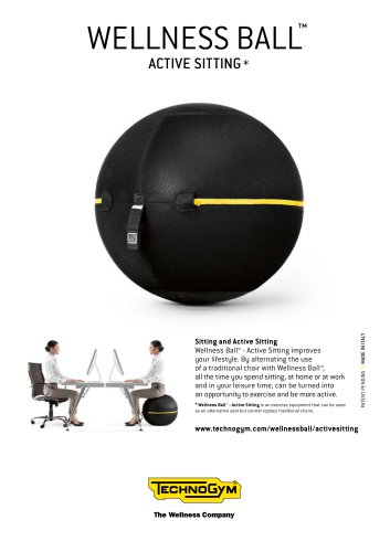 WELLNESS BALL