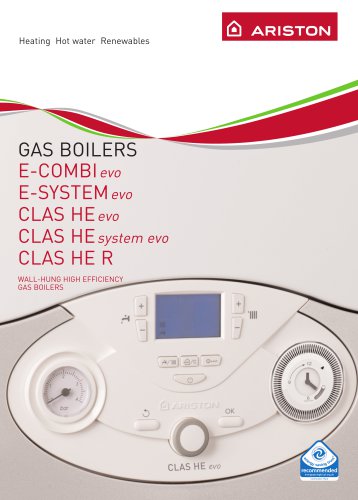 Gas Boiler