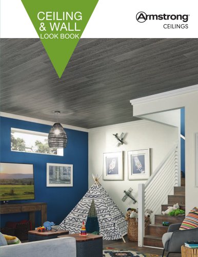 CEILING & WALL LOOK BOOK