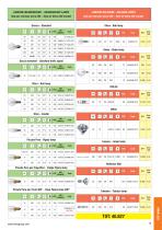 Components - Driver and bulbs - 13