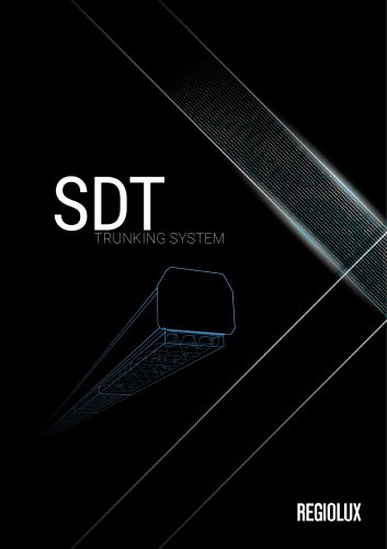 SDT trunking system