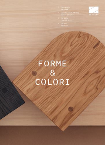 Forme Colori 2014