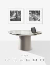 Mesa Brochure