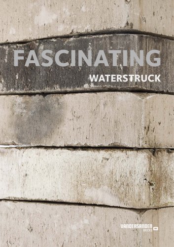 Waterstruck bricks