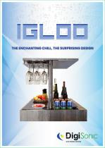 Igloo