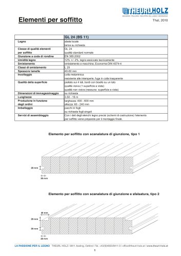 Elementi per soffitto_2010