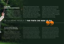 Catalogo Open D Play - 3