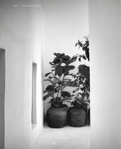 Collection Catalogue-68