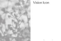 Vision - 8